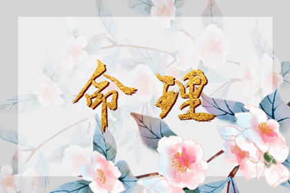 2026年日历农历阳历表|2026年日历表|日历表看日期日历